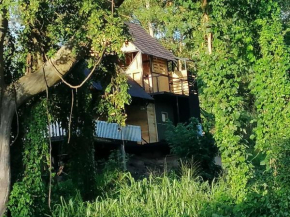 hornbill river cottage udawalwa